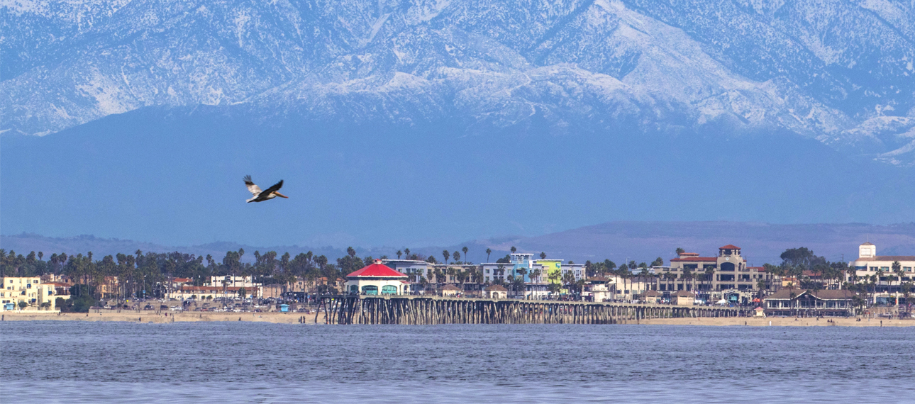 A bird flies over the Pacific Ocean off the shore of Newport Beach with mountains visible behind the town.